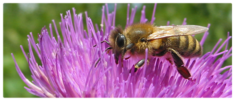 Kunden und Auftr&auml;ge